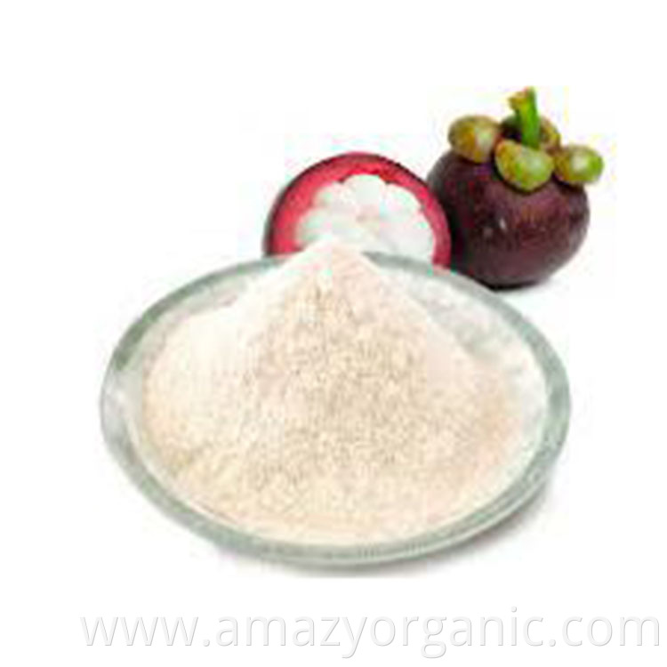 Pure Mangosteen Juice Powder